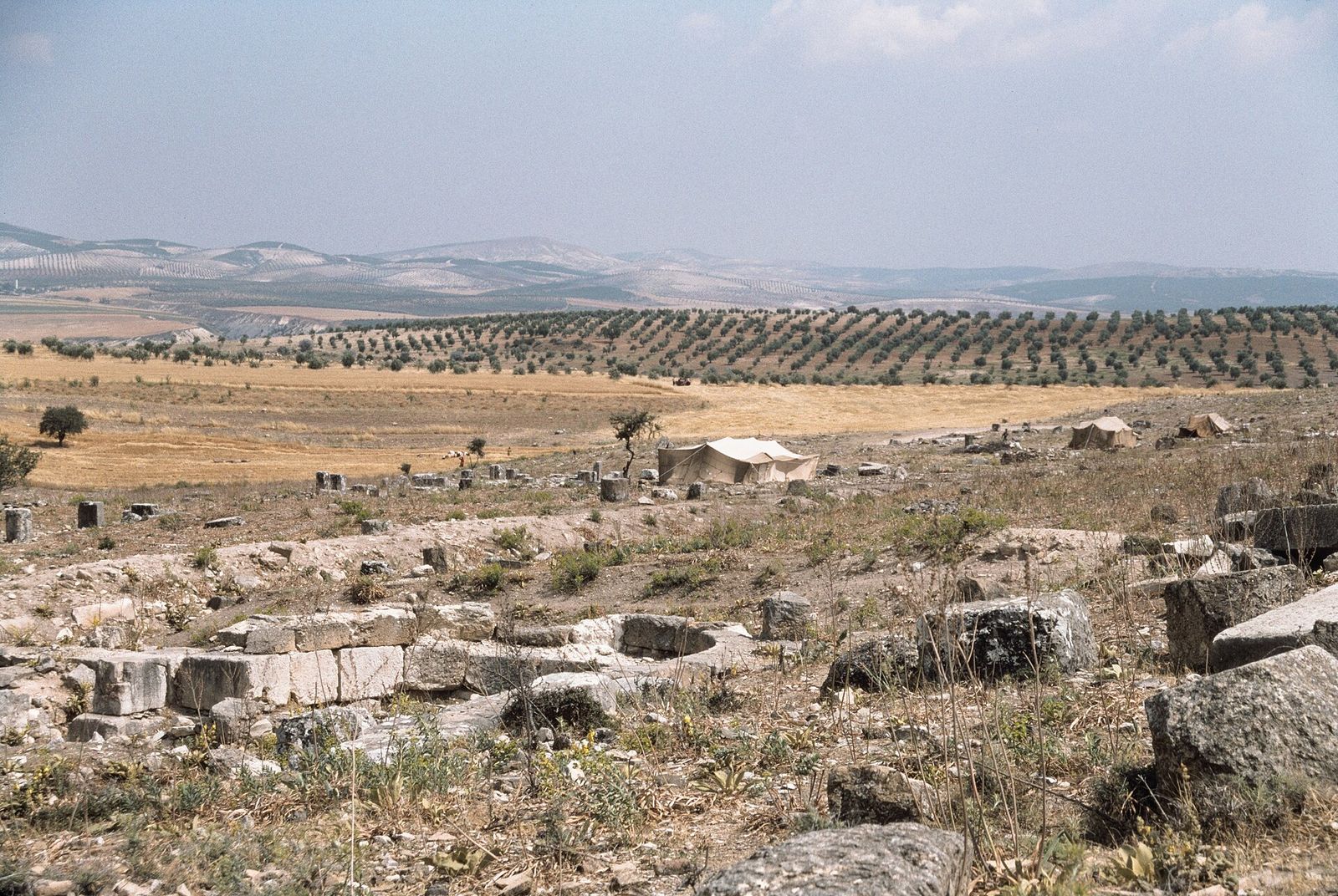 Cyrrhus (Nabi Huri) — Ancient City in North of Aleppo, near Afrin